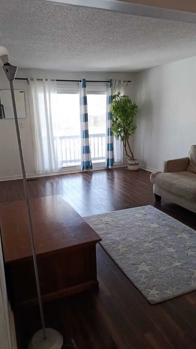 separate three bedrooms available for rent