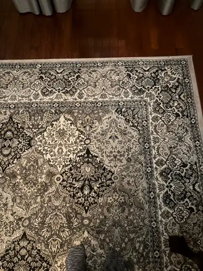 Beautiful Large Area Rug, View more