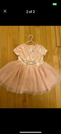 NEW 2T Sweet pink spring dress size  