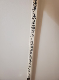NHL player Signed autograped hockey stick Bell Nexxia