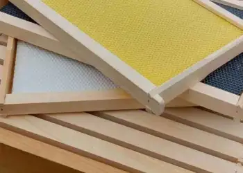 We are selling medium and deep beehive frames. They come with or without wax-covered foundation in b...