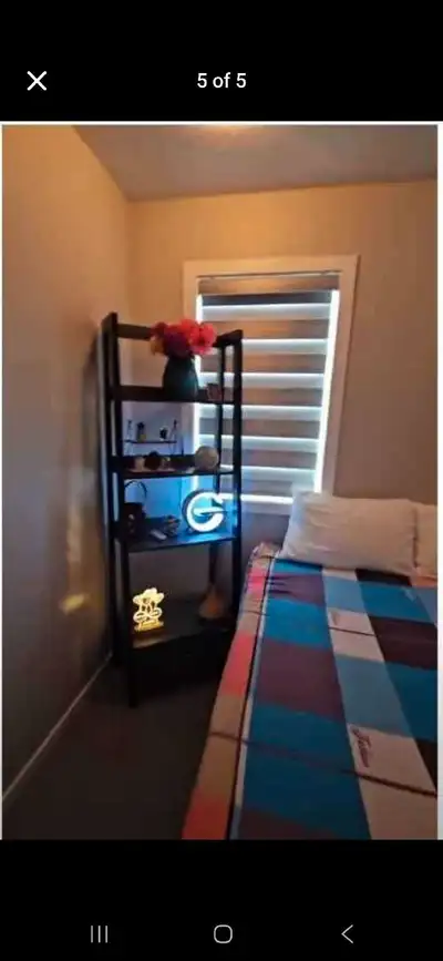 shared room accommodation available
