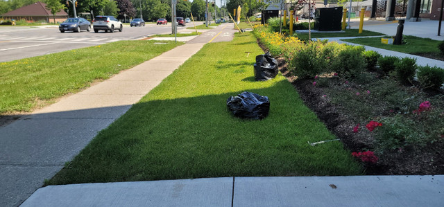 Affordable, Beautiful Landscaping in the KW & Cambridge area in Lawn, Tree Maintenance & Eavestrough in Kitchener / Waterloo - Image 2