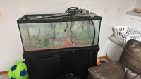 55 gallon full set with stand 