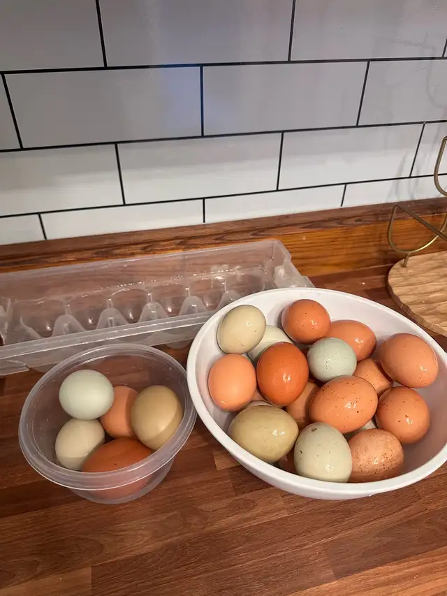 fresh eggs -$665397881545345120