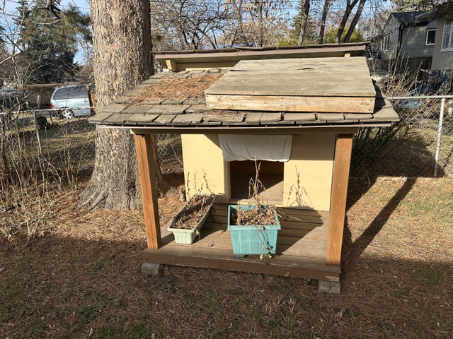 LARGE DOG HOUSE-FREE! in Accessories in Edmonton - Image 3