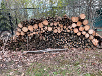 UNLIMITED AMOUNT OF FIREWOOD-ONLY $100.00