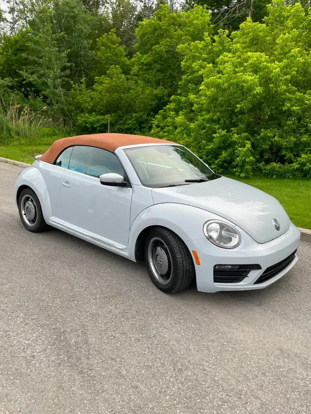 Beetle Convertible498589186529044482