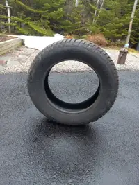 Winter Tire, 15 Inch