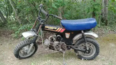 It has been in the famly for about 25-30 years ran when parked but is missing the flywheel and no on...