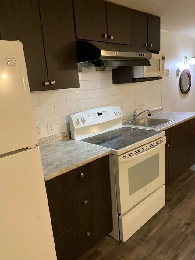 Furnished basement suite available November 63849107426819122