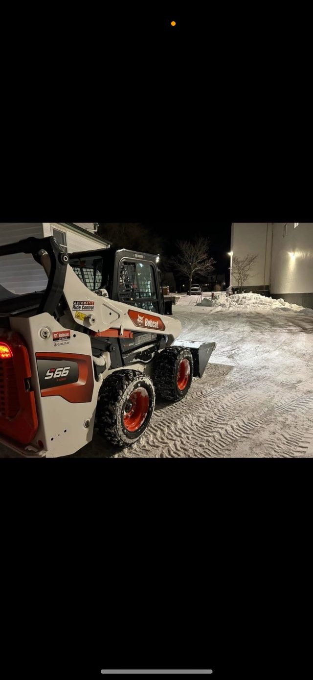 JUNK REMOVAL/SNOW PLOW64961226411393121