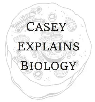 Biology Tutoring, View more