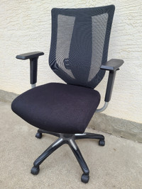 Ergonomic Office Chair (1 year old)