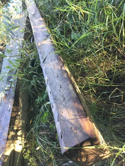 Super long timbers. 20 feet long. 7” x 8”. I deliver!, View more