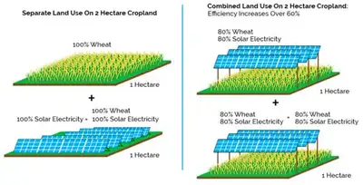 -Grow Power & Crops Together with Agrovoltaics – Boost Yields &, View more