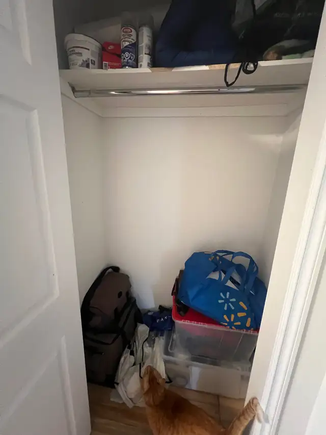 chambre à louer - Longueuil in Room Rentals & Roommates in Longueuil / South Shore - Image 5