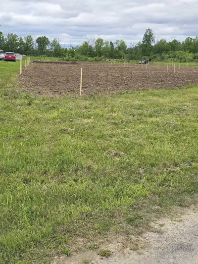 Rent a plot Grow your own garden, View more