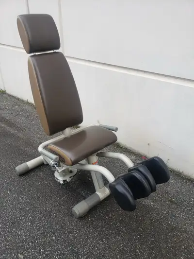 Technogym Abdominal Crunch Bench, View more