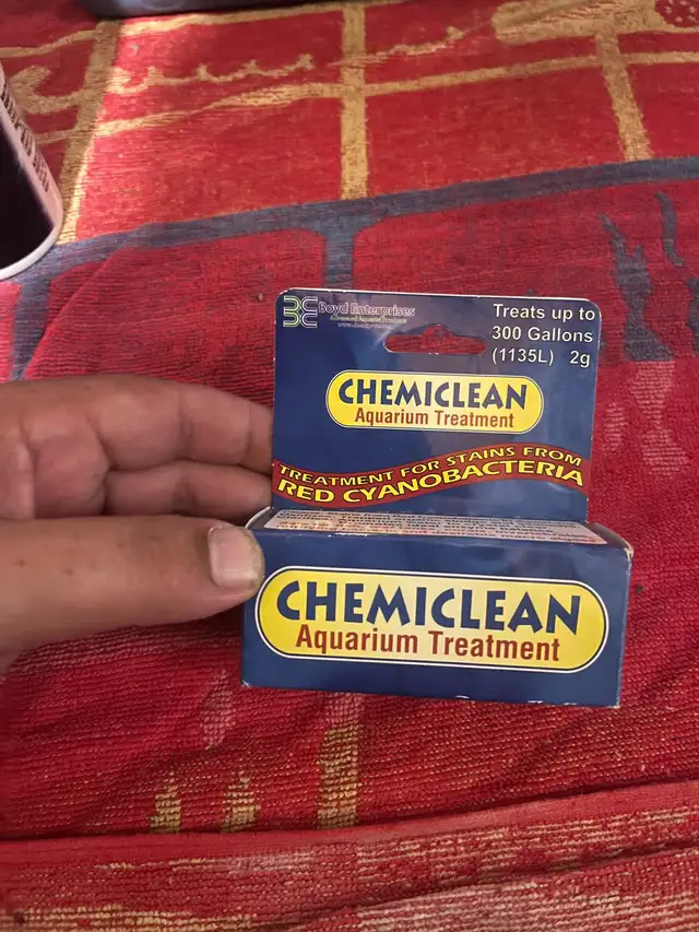 Chemiclean  in Fish for Rehoming in Kingston - Image 2