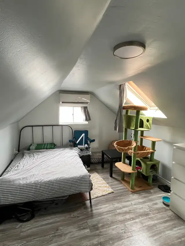 One room for rent in three-bedroom apartment in Long Term Rentals in Kitchener / Waterloo - Image 7