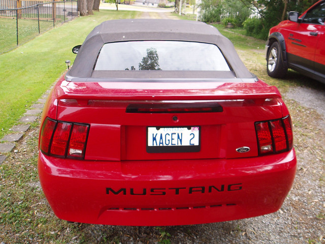 Mustang Convertible in Cars & Trucks in Brantford - Image 3