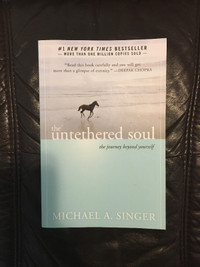 The Untethered Soul-The Journey Beyond Yourself | Michael Singer