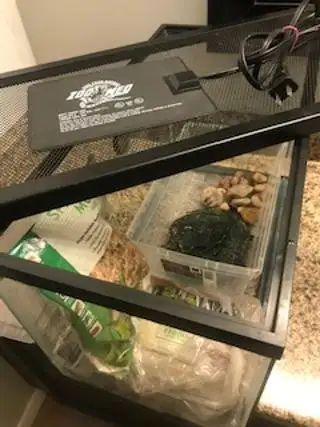 10 Gallon tank64840226724098121