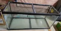 FREE - 100 gallon aquarium