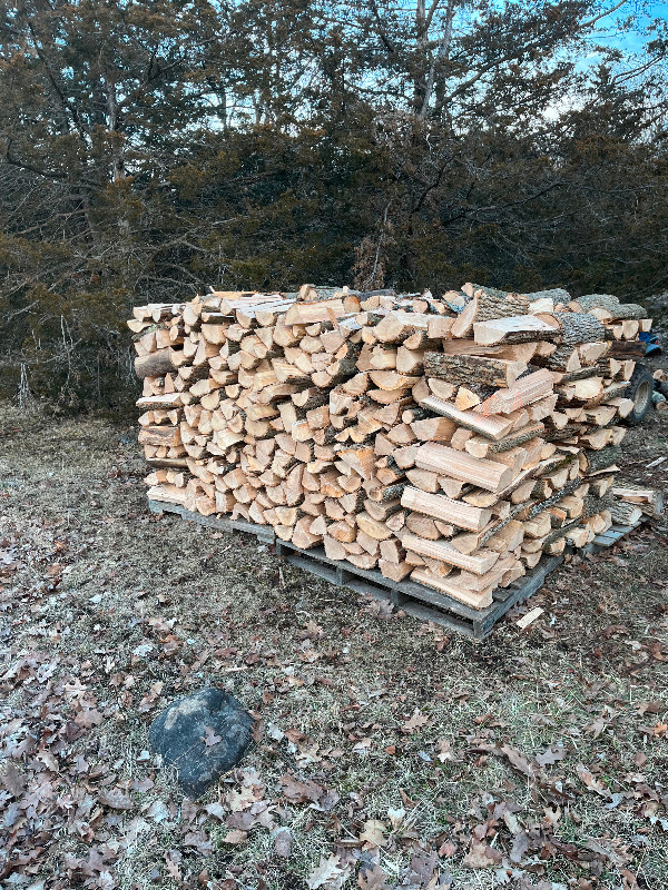 Ash firewood in Other in Napanee