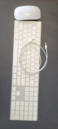 Apple wireless magic mouse and keyboard combo
