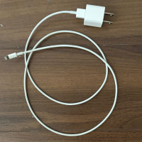 Apple Lightning port to USB charger - Perfect working condition