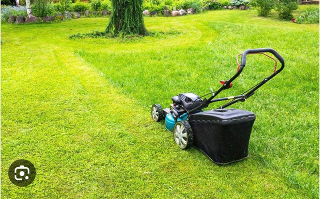 garden cleaner sale  in Outdoor Tools & Storage in Mississauga / Peel Region