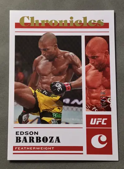His reputation was cemented at UFC 142 with a legendary spinning wheel kick knockout over Terry Etim...