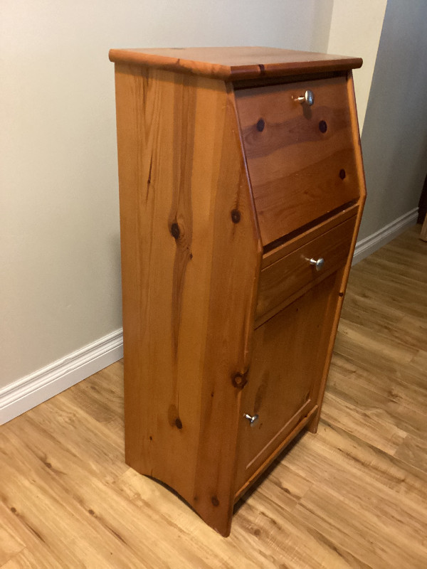 Pine hallway cabinet in Hutches & Display Cabinets in Markham / York Region - Image 2