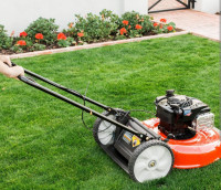 Grass Cutting Starting 19.99  SAME DAY,  NO CONTRACT