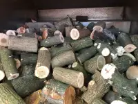 Free Firewood for Free Delivery 