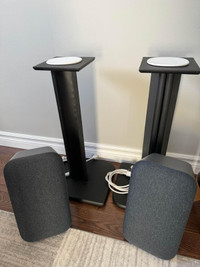 Google Home Max (Pair with stands)
