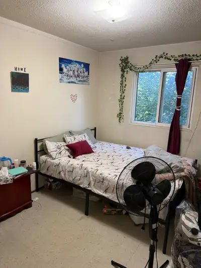 One bedroom available in two bedroom apartment near regent 3 min walk to freshco, sobeys 3 min drive...