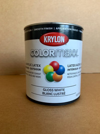 Krylon white paint