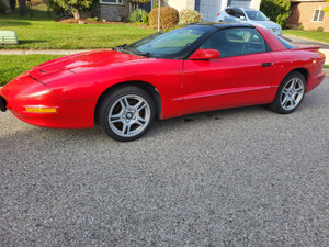 1995 Pontiac Firebird Formula