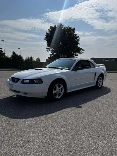 2001 Ford Mustang Convertible | V6 | Auto | 90,864 km | No Rust Selling my 2001 Ford Mustang Convert...