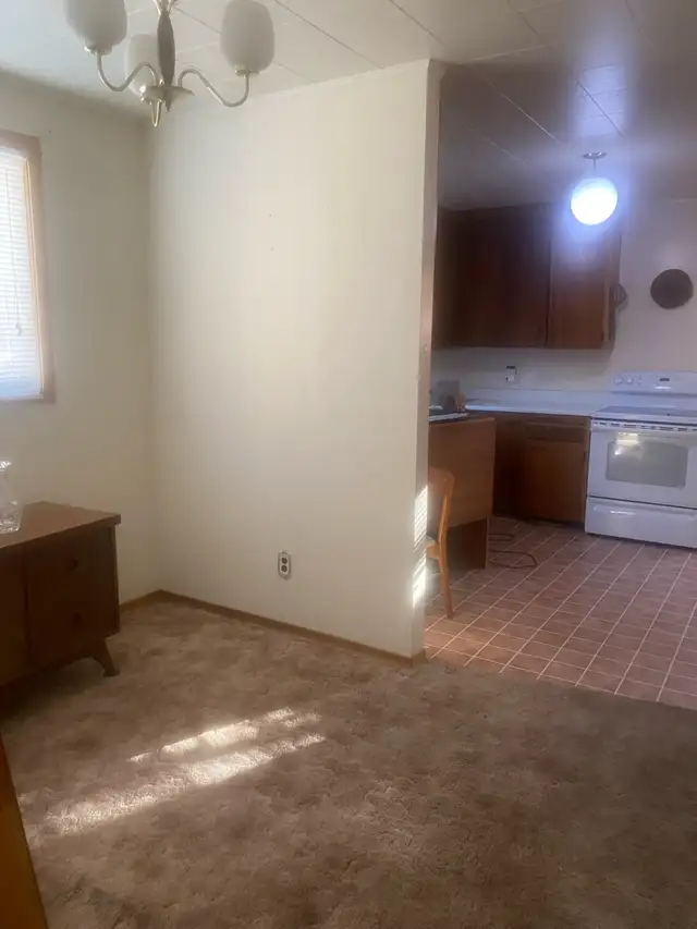 2 bedroom apartment for rent with basement and washer/ dryer