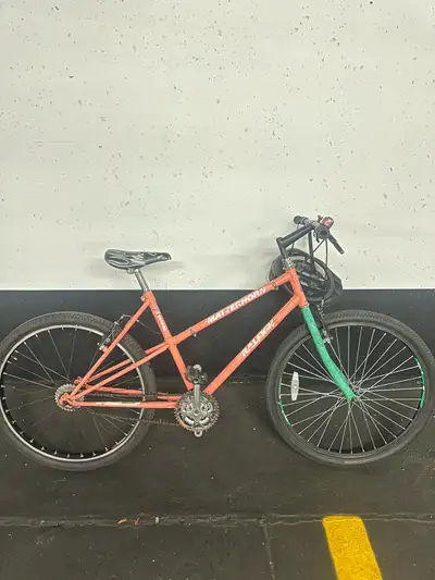VINTAGE WOMEN SIZE SMALL RALEIGH SINGLE SPEED MOUNTAIN BIKE , View more