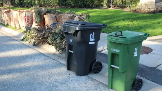  Fall Cleanup – Downtown Toronto (Flat Rates) 63694109264899122