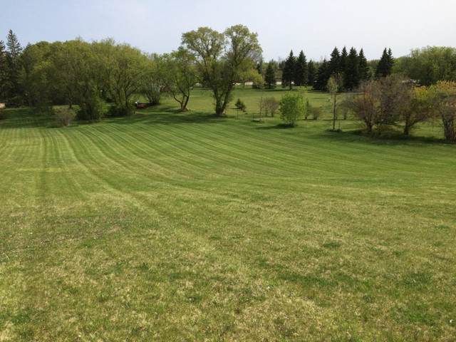 Weekly Lawn Maintenance - Spring Clean Ups in Lawn, Tree Maintenance & Eavestrough in Winnipeg - Image 4