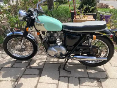 Vintage bikes for sale Triumph T100 Daytona - 500cc Fitted with a Tiger (one carb) head. Sold pendin...