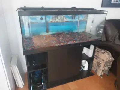 100 gallon fish tank with all accessories. Plants, heater, blowing tool, 2 high quality under cabine...