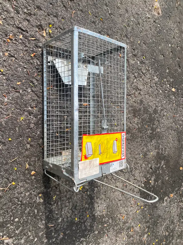 Mouse trap in Other in Ottawa - Image 3