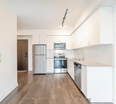 One bedroom Condo Apartment with all amenities, gym, dog spa, roof top terrace with jags view ….walk...